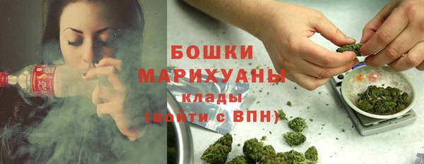 гидра Богданович