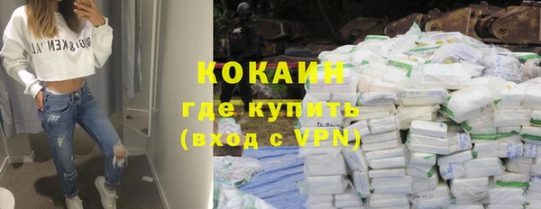 гидра Богданович