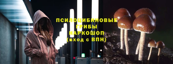 индика Бугульма