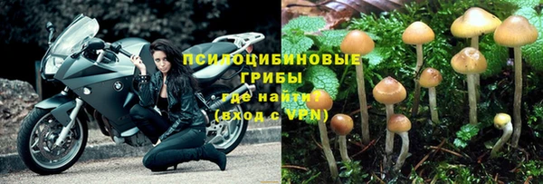 гидра Богданович