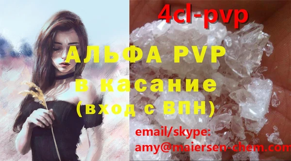гидра Богданович