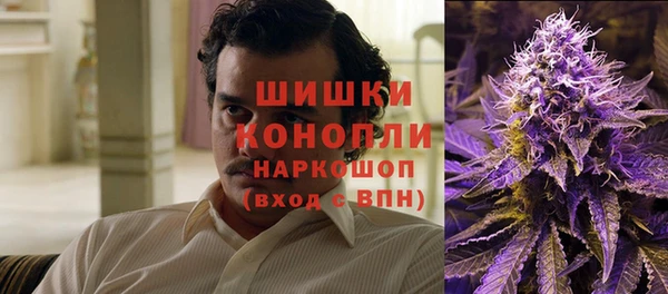 твердый Богородск