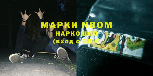 гидра Богданович