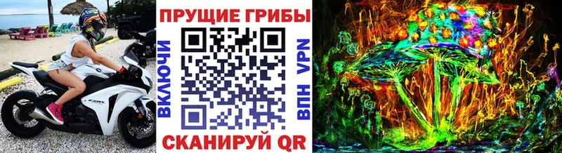 Псилоцибиновые грибы ЛСД  Купить где  Великий Новгород 